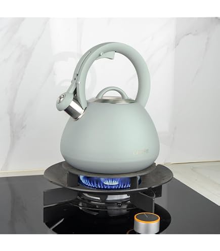 OXO 71190 Good Grips Uplift Tea Kettle, Stainless Steel, Brushed